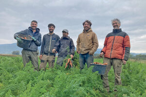 GAEC des Flam’en vert ballad et vous