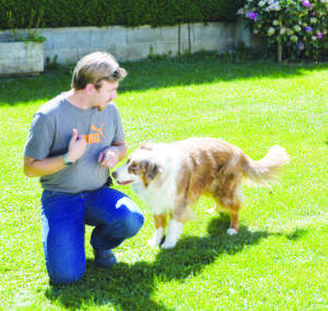 chien