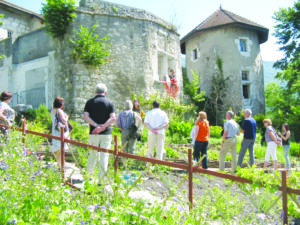 jardinchâteau4