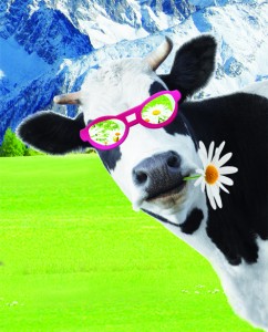 vache