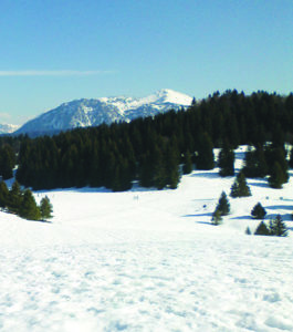 AIX-LES-BAINS - LE REVARD