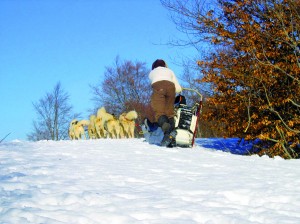 IMG_0137
