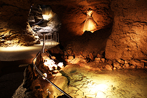 Les Grottes de La Balme - Voile de la Mariée © DR