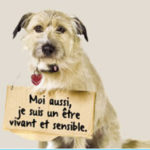 csm_peti-combat_9ccd4e5512 ballad et vous
