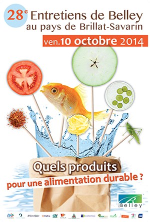Visuel entretiens de Belley 2014 ballad et vous