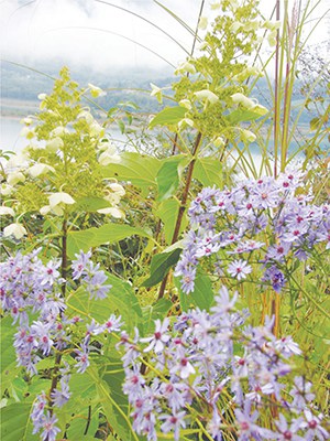 journée des plantes aiguebelette 3  ballad et vous