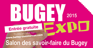 Affiche Bugey Expo 2015 ballad et vous