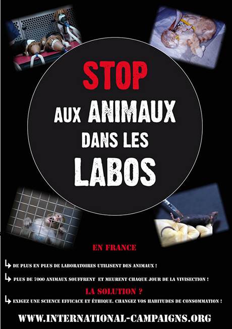 International Campaigns journée mondiale animaux labo ballad et vous