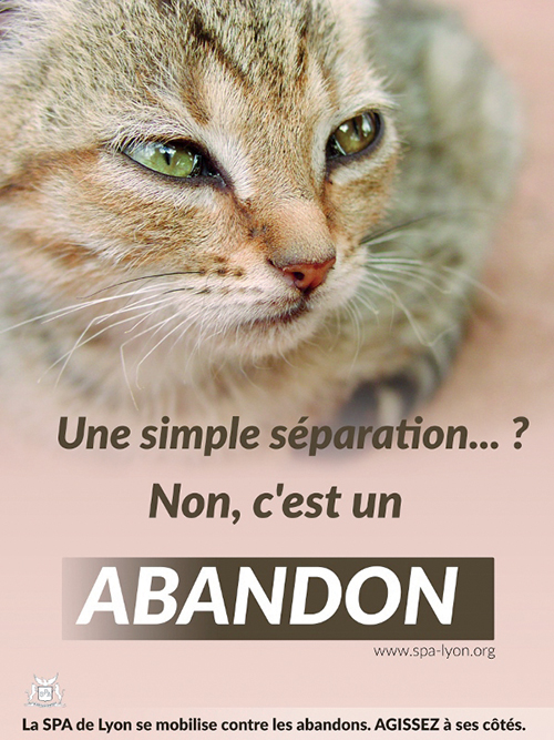 Affiche campagne contre l'abandon chat ballad et vous