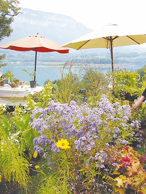 Journées des Plantes Aiguebelette 1 ballad et vous