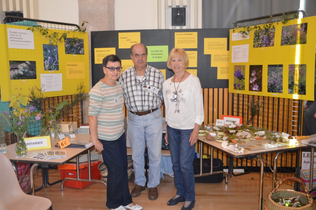 naruralistes belley formun des associations ballad et vous