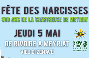 Fête Narcisses PAGE ACCUEIL ballad et vous