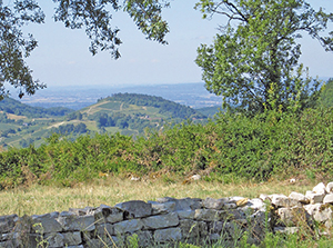 4ème Vigneronne st benoit ballad et vous