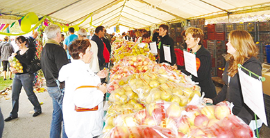 fete-de-la-pomme-ballad-et-vous
