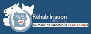 logo-graal-rehabilitation-ballad-et-vous