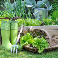 Jardin potager type ballad et vous