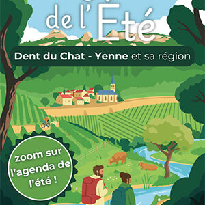 Affiche OT Yenne 243 ballad et vous