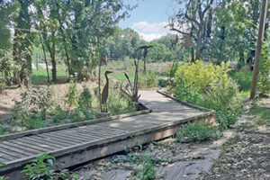 Marais de Lavours chemin ballad et vous