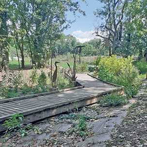 Marais de Lavours chemin ballad et vous