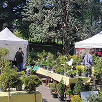 Journée des Plantes © JP Deshaires ballad et vous