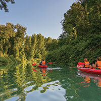Sortie nature en canoë kayak sur le Rhône