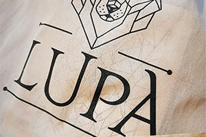 Illustration-publi-avril-2026-©-OT-Bugey-Sud-Grand-Colombier-ballad-et-vous