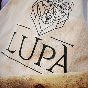 Illustration-publi-avril-2026-©-OT-Bugey-Sud-Grand-Colombier-ballad-et-vous