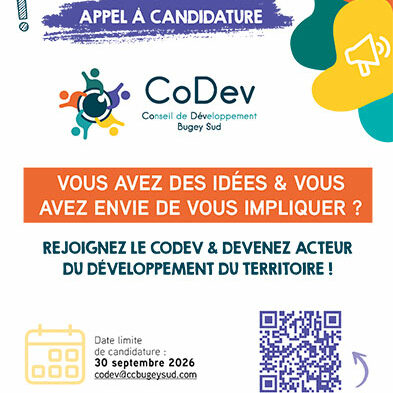 Affiche-CoDev-ballad-et-vous