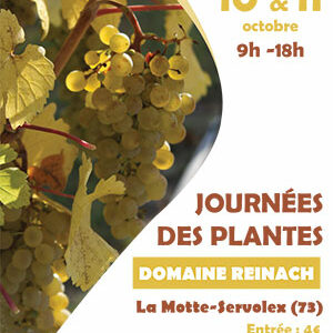 Journée-des-Plantes-255-ballad-et-vous