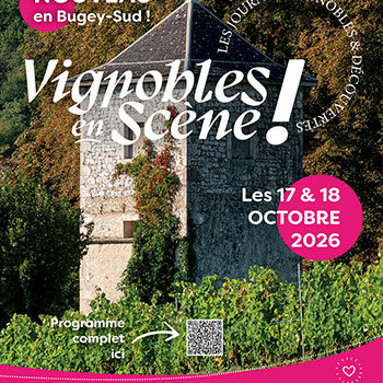 Vignobles-en-scène-ballad-et-vous