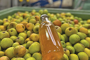 Jus-de-pommes-ballad-et-vous