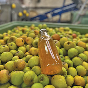 Jus-de-pommes-ballad-et-vous