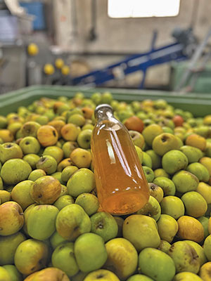 Jus-de-pommes-ballad-et-vous